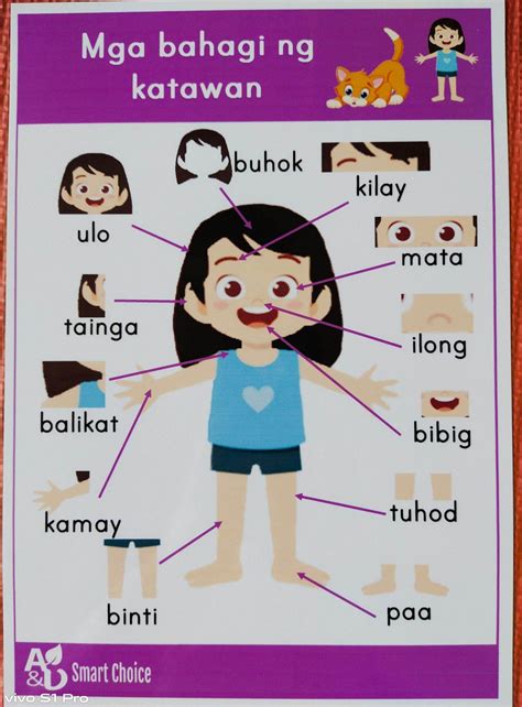 psrti|Iba pa.